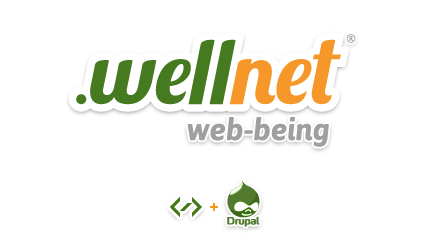 Sviluppo Software, Siti Web e Web Marketing | Wellnet Milano